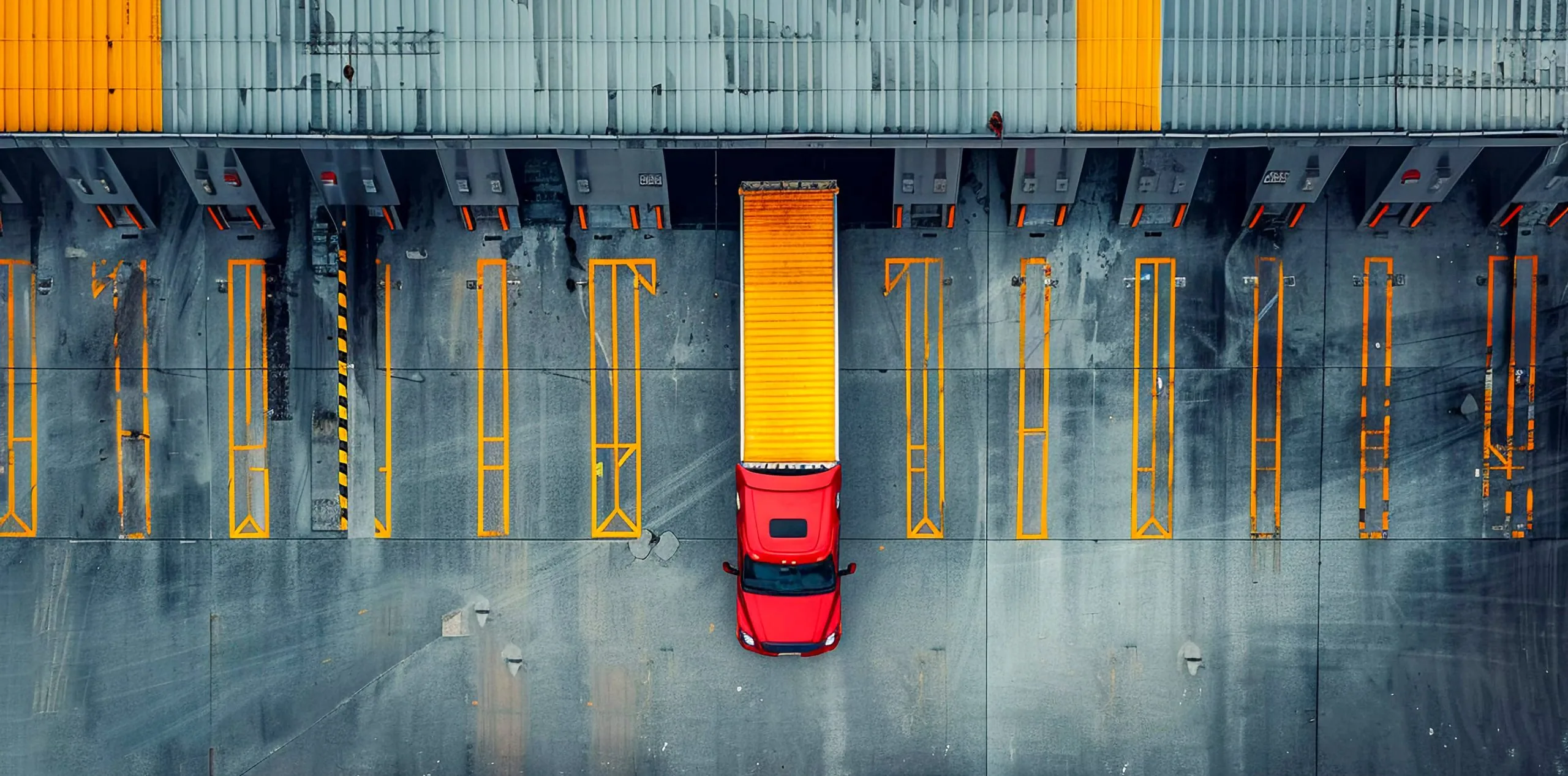 International movers