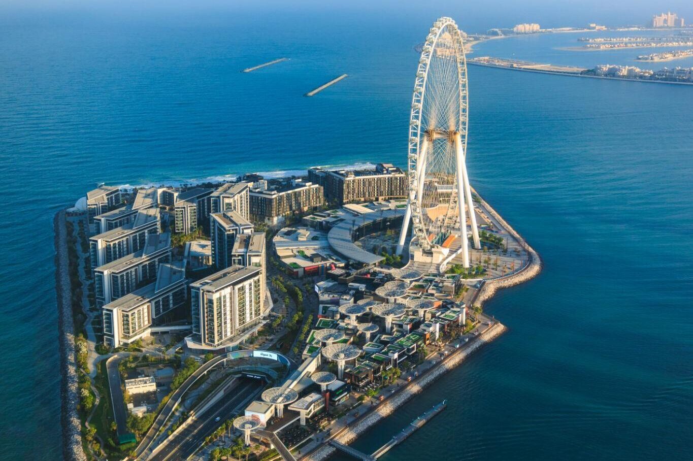 movers in Bluewaters Island | Choose and Move Cargo LLC movers in bluewaters island