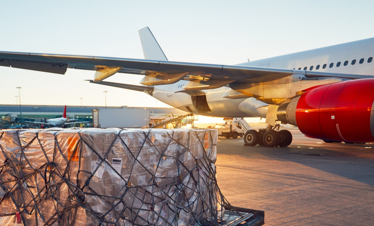 international movers